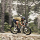 ICARUS, Grey Acid Frost-Volt+ Gun Cat 3, hi-res image number null